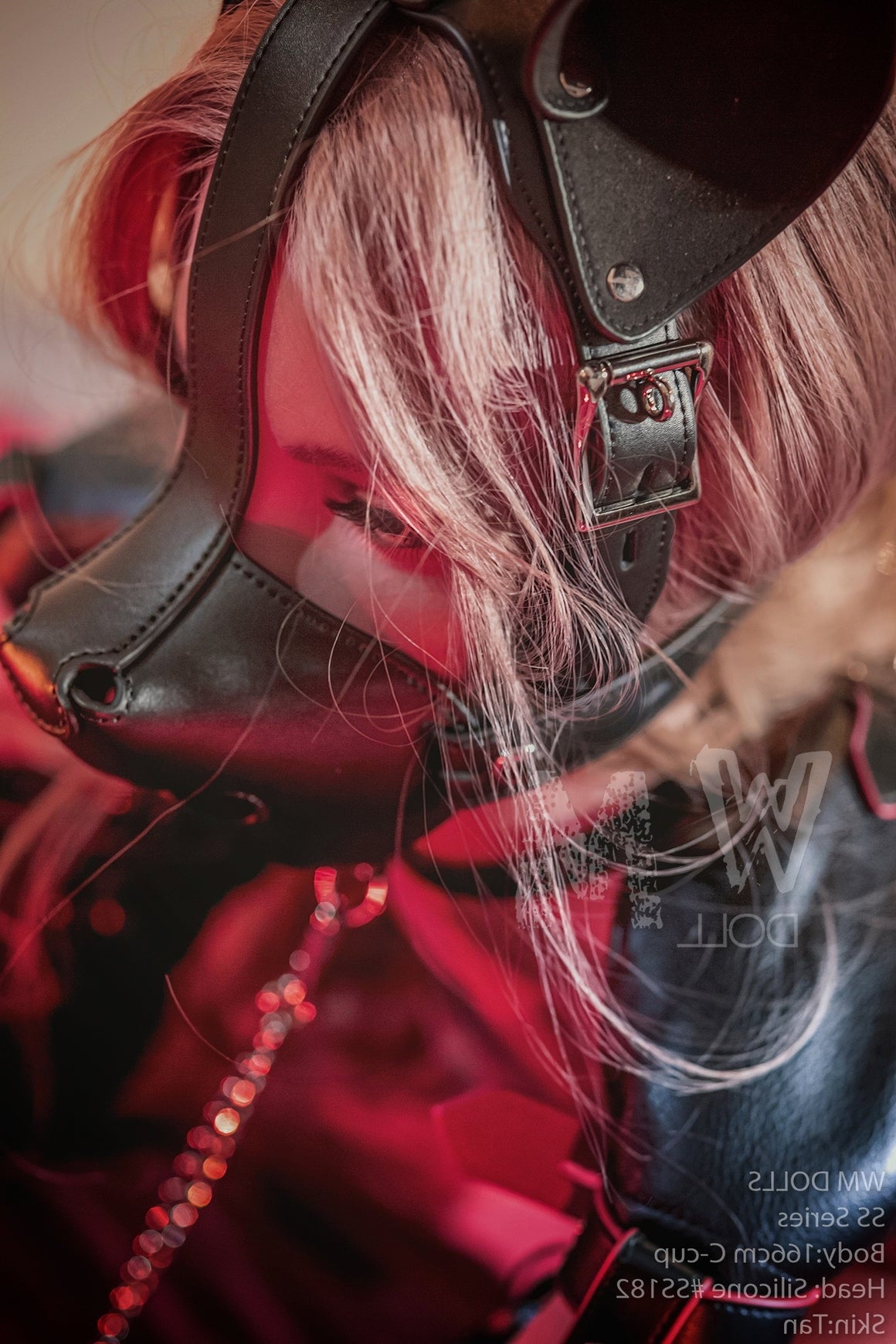 166cm C-Cup STPE BDSM Sex Doll SS Series with Silicone Head #SS182 WM