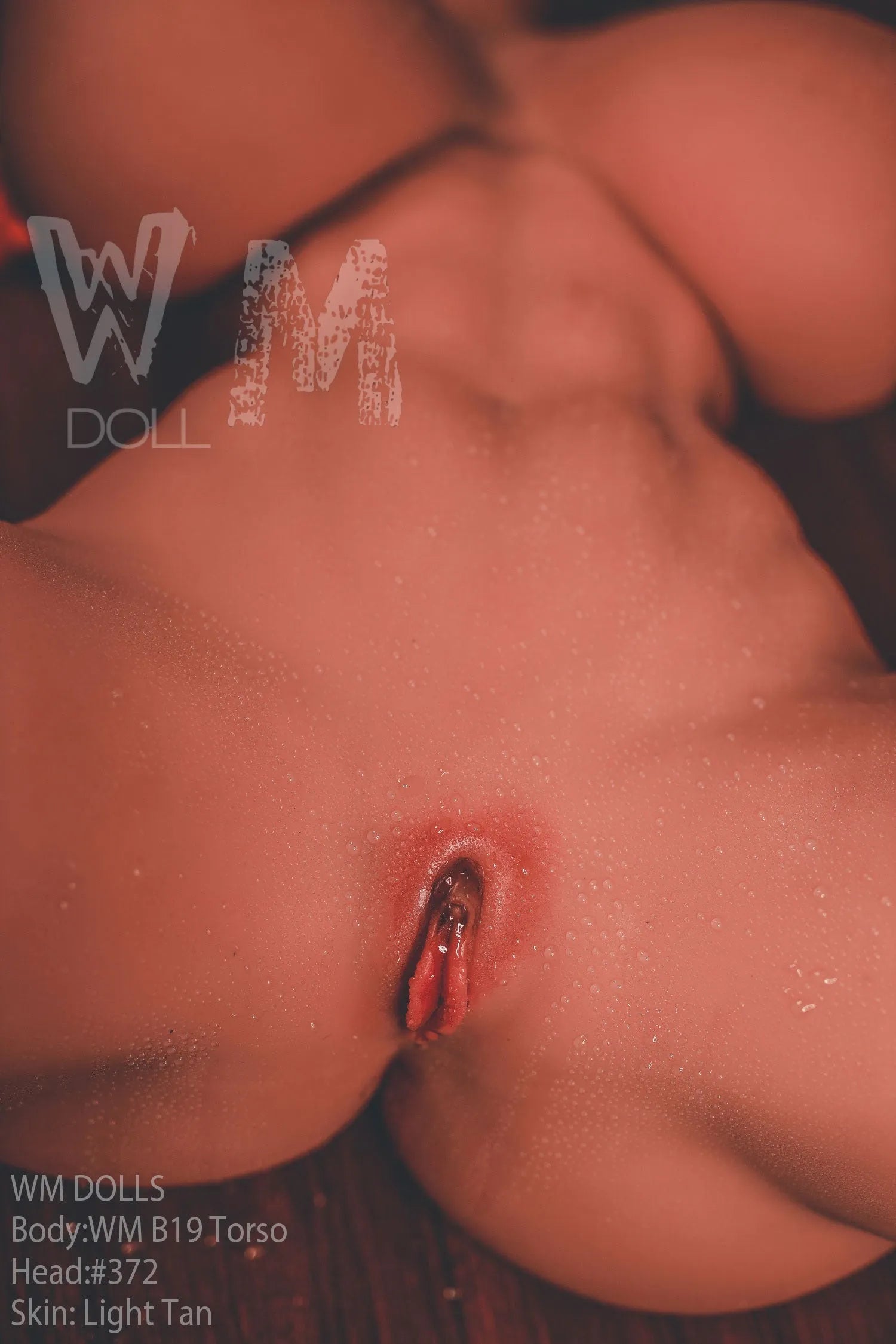 WM | Remy 2ft 4/ 70cm Torso Sex Doll