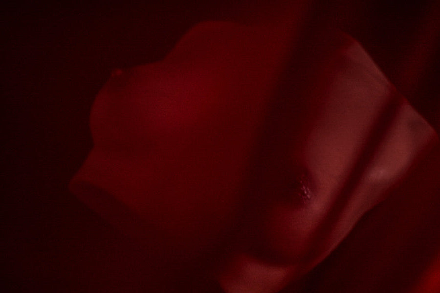 ⭐️CLM Pro⭐️Mammary Intercourse Sex Toy Si #B-61 Black Silicone Climax Doll