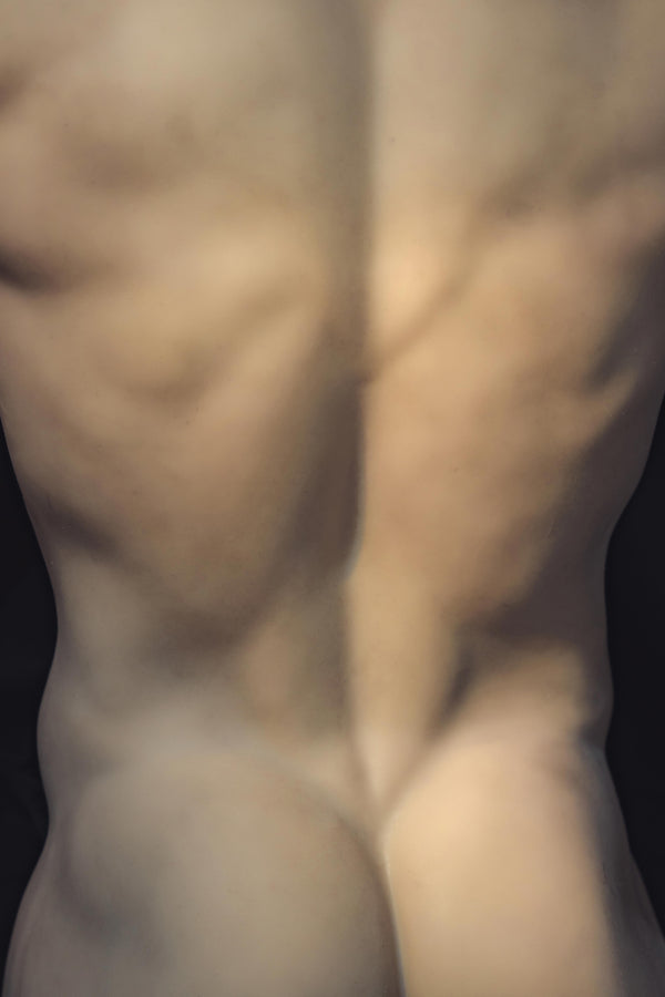 Muscular Silicone Head Male Sex Doll Torso - Ronin Realing