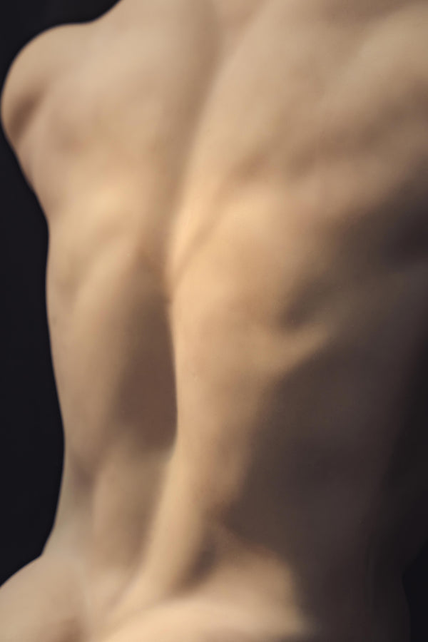 Muscular Silicone Head Male Sex Doll Torso - Ronin Realing