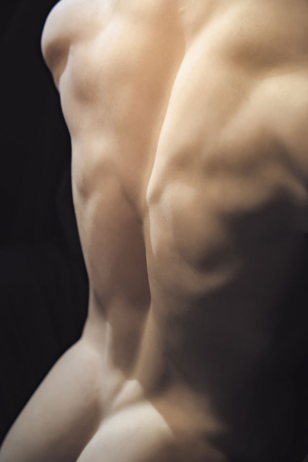 Muscular Silicone Head Male Sex Doll Torso - Leonardo Realing