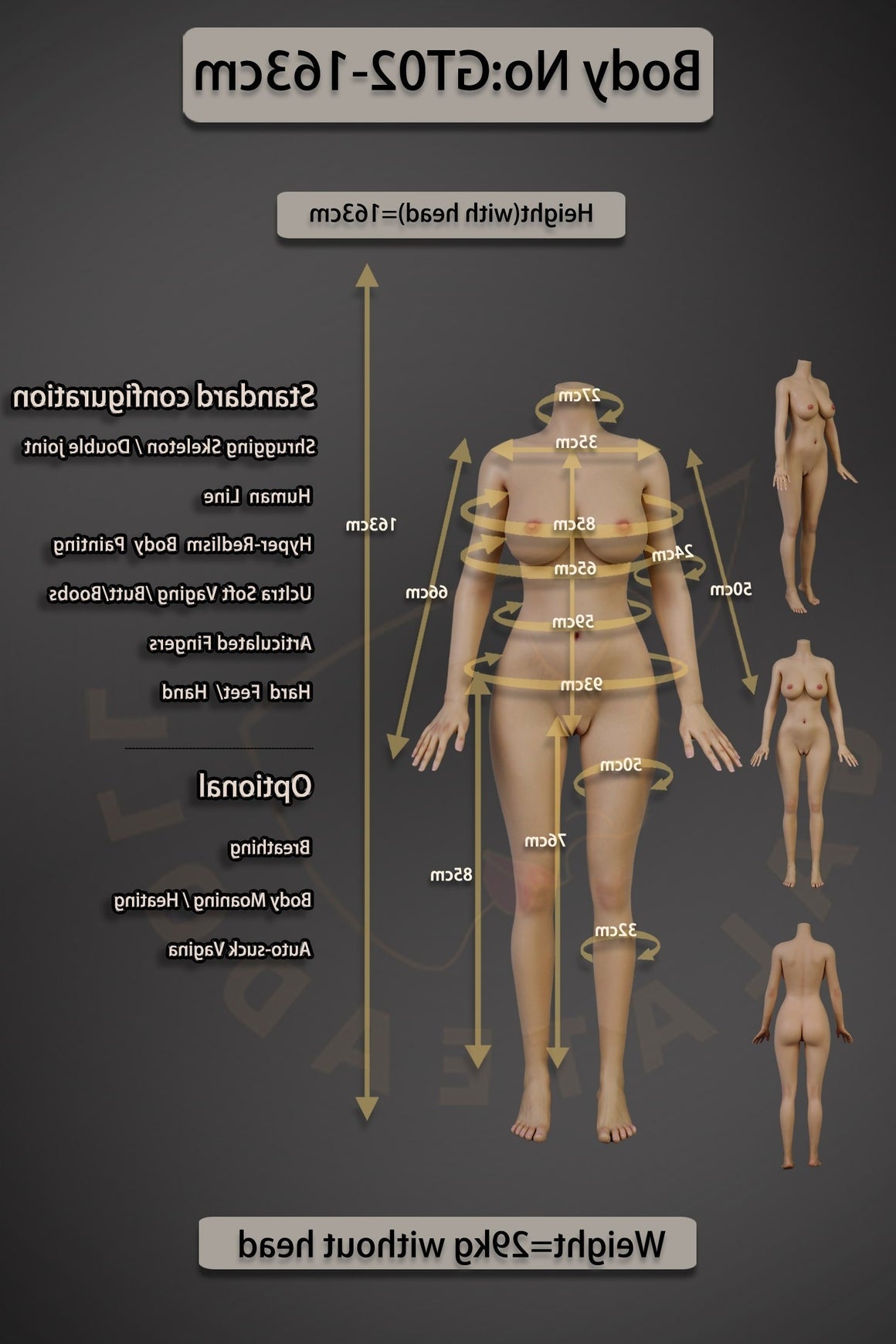 Us In Stock 163cm 5ft4 E Cup Real Skin Texture Silicone Sex Doll Gt02 Js135 Tan - E-cup Torso Galatea